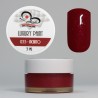 Luxury Paint Color Gel 035 - Incanto