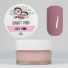 Luxury Paint Color Gel 075 - Pinky